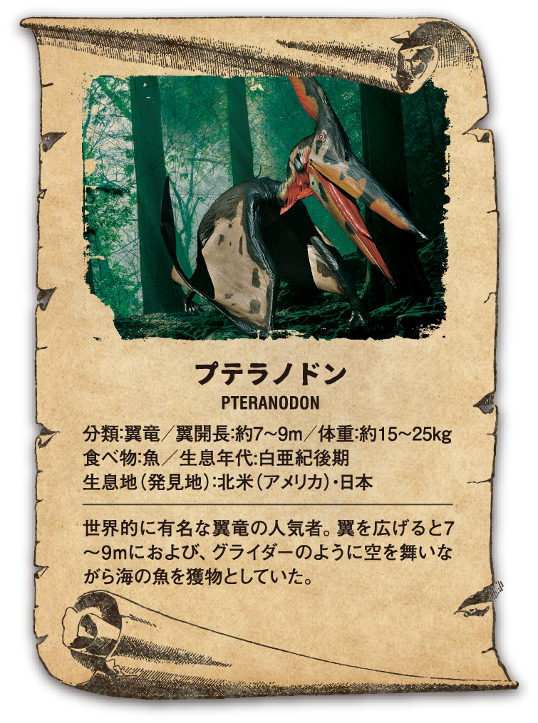 プテラノドン