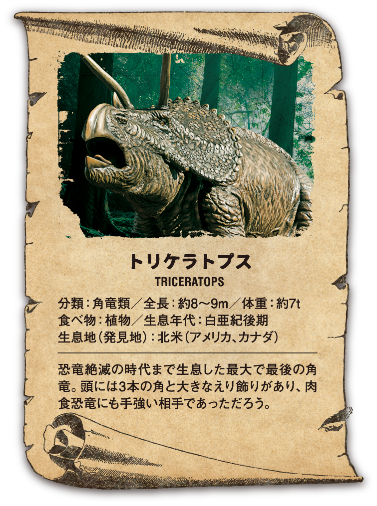 トリケラトプス